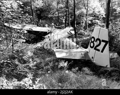 Martin Arrowsmith, pilota di alianti, ha dichiarato di sentirsi fortunato ad essere vivo dopo che il suo aereo si è schiantato fuori controllo nel bosco nord-orientale. Ore più tardi l'impiegato assicurativo da Whickham, che è fuggito con le lesioni del colpo di frusta, siad avrebbe raggiunto di nuovo per i cieli il fine settimana seguente nonostante il suo drammatico incidente. Il signor Arrowsmith, 25 anni, era decollato da Heddon con l'aeromobile ¿3.000 appartenente al Northumbria Gliding Club. 08/08/1988 Foto Stock