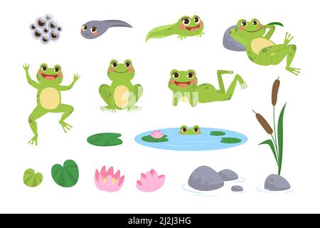 Allegro set di illustrazioni vettoriali delle rane cartoon. Disegni di anfibio verde carino riposo, salto, tadpole, uova di rospo, fiore di loto e foglie isolate Illustrazione Vettoriale