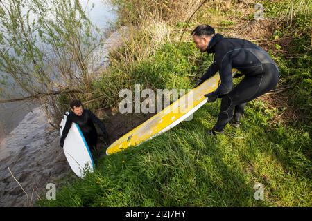 Arlingham, Gloucestershire. Regno Unito. 2nd Apr 2022. I surfisti sfidano le fredde acque del fiume Severn a Spring Tide per catturare il bore Severn. Un fenomeno naturale che si verifica quando la marea spinge indietro contro il fiume in uscita creando un'onda. Hempsted. Gloucestershire. Regno Unito. 2nd Apr 2022. Immagine di: Alexander Caminada. Credit: Alexander Caminada/Alamy Live News Foto Stock