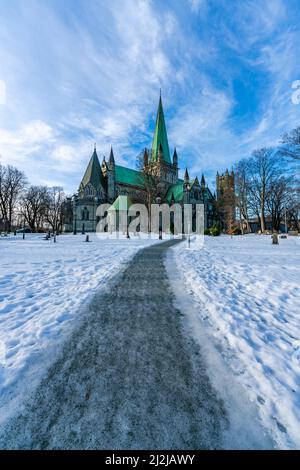 Una famosa cattedrale di Nidarosdomen a Trondheim, Norvegia Foto Stock