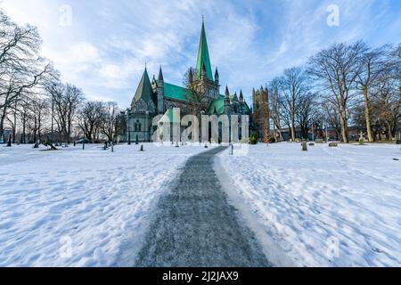 Una famosa cattedrale di Nidarosdomen a Trondheim, Norvegia Foto Stock