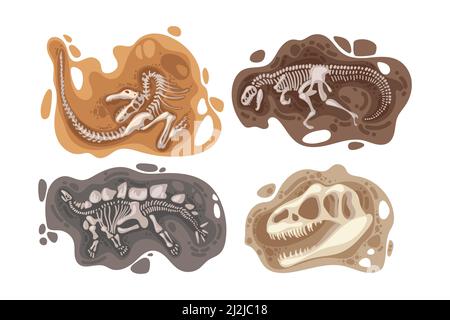 Set di illustrazioni vettoriali dei fossili di dinosauro. Ossa o scheletri di rettili preistorici trovati sotterranei durante gli scavi isolati su backgroun bianco Illustrazione Vettoriale