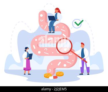 Piccoli medici esaminando la flora intestinale illustrazione vettoriale piatta. Terapisti che controllano il sistema digestivo, il tratto gastrointestinale, l'intestino, il microrganismo amichevole Illustrazione Vettoriale