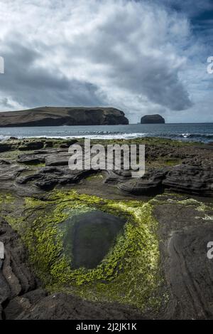 Piscine rocciose e costa dell'Islanda Foto Stock