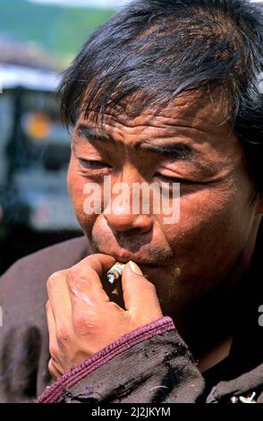 Mongolia. I Dukha (Tsaatan) sono una piccola cultura di mandrie di renne che vivono nel nord Khövsgöl Aimag della Mongolia. Foto Stock