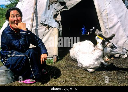 Mongolia. I Dukha (Tsaatan) sono una piccola cultura di mandrie di renne che vivono nel nord Khövsgöl Aimag della Mongolia. Foto Stock