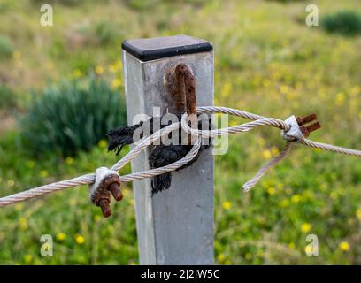 Un cavo metallico è inserito in un anello su un palo scavato nel terreno per racchiudere il territorio. Primo piano. Foto Stock