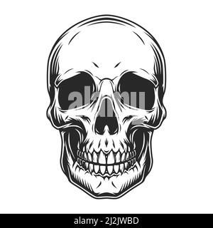 Concetto di cranio umano vintage in un'illustrazione vettoriale isolata in stile monocromatico Illustrazione Vettoriale