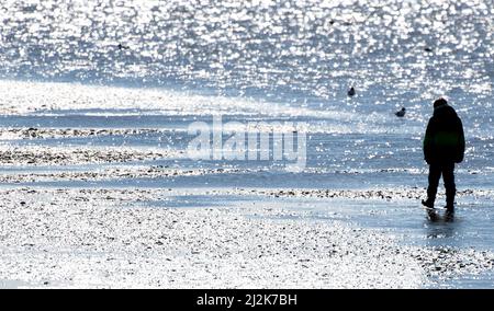 Norddeich, Germania. 02nd Apr 2022. Un ragazzo cammina sulle mudflats sulla spiaggia in tempo di sole. Il 04.04.2022 iniziano le vacanze pasquali nella bassa Sassonia, a Brema e nello Schleswig-Holstein. Credit: Hauke-Christian Dittrich/dpa/Alamy Live News Foto Stock