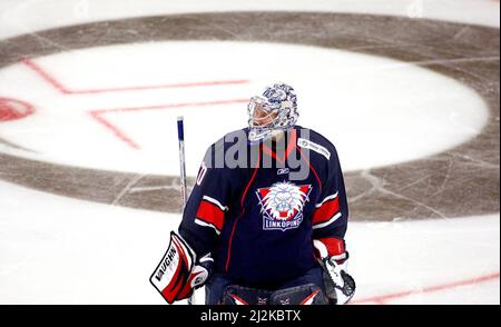 Fredrik Norrena, portiere della squadra di hockey di Linköping, Linköping HC, LHC, Linköping. Foto Stock