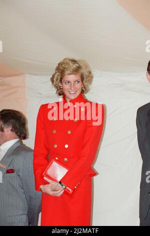 HRH la Principessa del Galles, la Principessa Diana, apre Milton Hospice, un nuovo ospizio per bambini a Milton, Cambridgeshire. Foto scattata il 1st agosto 1989 Foto Stock