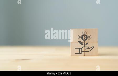 Concetto di crescita Bitcoin. Concetto di aumento del valore e del prezzo della valuta Crypto. Aumento della ricchezza per il commerciante. Icona di crescita Bitcoin su cubi di legno con bellezze Foto Stock