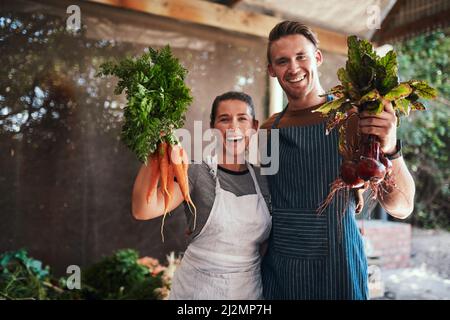 Scegli il tuo preferito. Ritratto di una giovane coppia felice che si posa insieme tenendo mazzi di carote e barbabietole appena raccolte nella loro fattoria. Foto Stock