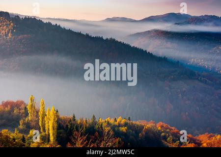 paesaggio autunnale con nebbia nella valle all'alba. paesaggio montano alla luce del mattino. alberi in fogliame colorato sulla collina. meravigliosa estate soleggiata Foto Stock