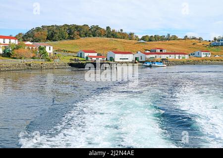 Estancia Harberton, lo storico Remote Ranch sul canale di Beagle, Ushuaia, Provincia di Tierra del Fuego, Patagonia, Argentina Foto Stock