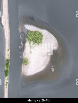 Forma della lettera D in natura Foto Stock