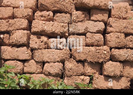 Muro di mattoni di fango eroso di argilla secca e paglia, Serbia Foto Stock