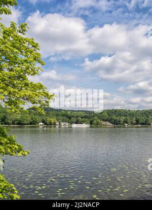 Lago Baldeneysee, Ruhrgebiet, Renania Settentrionale-Vestfalia, Germania Foto Stock