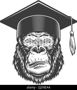 Gorilla serio in stile monocromo in cappello laureato. Illustrazione vettoriale Illustrazione Vettoriale