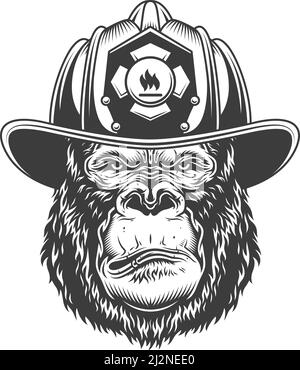 Gorilla seria in stile monocromatico in casco da vigile del fuoco. Illustrazione vettoriale Illustrazione Vettoriale