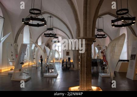 Museo di Storia Estone; Sala Grande delle Gilde, Tallinn, Estonia, settembre 21, 2018. Foto Stock