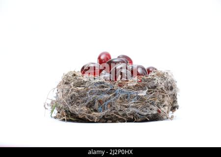 Immagine di una capsula di gel di olio di krill nel nido del passero Foto Stock