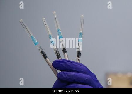 Londra, Regno Unito. 01st Apr 2022. Un vaccinatore NHS contiene le siringhe con il secondo jab di richiamo Pfizer COVID-19 (quarta dose) presso un centro di vaccinazione di Londra. Gli adulti più anziani sono stati invitati per una quarta dose di Covid-19 come parte della campagna di richiamo di primavera di Covid-19. La campagna è in fase di lancio, poiché l'immunità dalla vaccinazione diminuisce nel tempo, e secondo l'Ufficio per le statistiche nazionali un record 4,9million persone nel Regno Unito ha avuto COVID-19 in settimana al 26 marzo. Credit: SOPA Images Limited/Alamy Live News Foto Stock