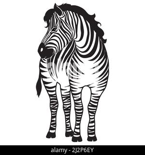 Zebra africana corsa vista laterale contorno profilo a righe disegno animale disegno flat vettore illustrazione isolato su sfondo bianco Illustrazione Vettoriale