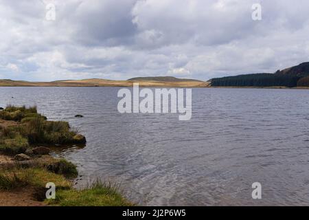 Pesca alla trota di Loch Glow Scozia Foto Stock