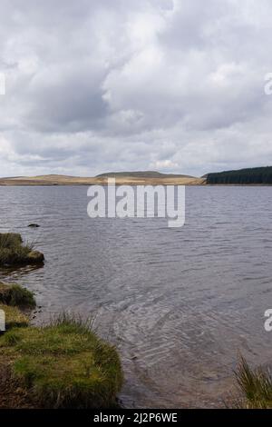 Pesca alla trota di Loch Glow Scozia Foto Stock