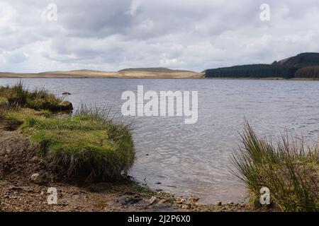 Pesca alla trota di Loch Glow Scozia Foto Stock