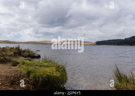 Pesca alla trota di Loch Glow Scozia Foto Stock