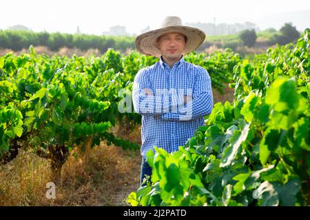 Ritratto di maschio agricoltore in cappello in piedi vicino all'uva in vigneto in estate Foto Stock