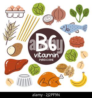 Prodotti alimentari ad alto livello di vitamina B6 (piridossina). Ingredienti di cottura. Frutte, vegetali, legumi, grano, pesce, carne, pasta, uova, noci. Illustrazione Vettoriale