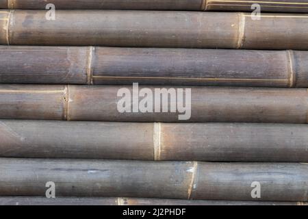 Struttura di bambù legno naturale motivi marroni. Primo piano di pianta di tronco con pali di legno bambù, muro recinzione vintage sfondo. Foto Stock