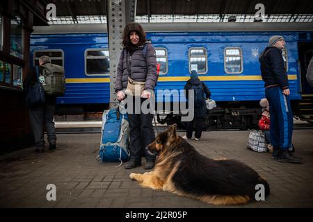 LVIV, UCRAINA - Apr 02, 2022: Catastrofe umanitaria durante la guerra in Ucraina. Rifugiato con un cane pastore tedesco da Zaporizhia sono fughe Foto Stock