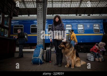 LVIV, UCRAINA - Apr 02, 2022: Catastrofe umanitaria durante la guerra in Ucraina. Rifugiato con un cane pastore tedesco da Zaporizhia sono fughe Foto Stock