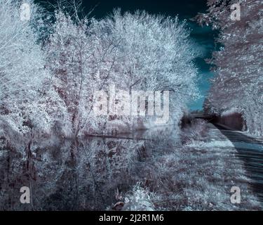 Foto a infrarossi guardando lungo il Bridgewater e il canale di Taunton a Taunton, Somerset, Inghilterra, Regno Unito. Parte della East Deane Way. Foto Stock