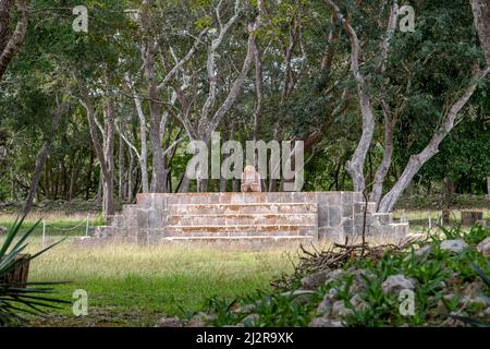 Il Trono della Giagua nell'antica città maya di Uxmal (Yucatan, Messico), patrimonio dell'umanità dell'UNESCO Foto Stock