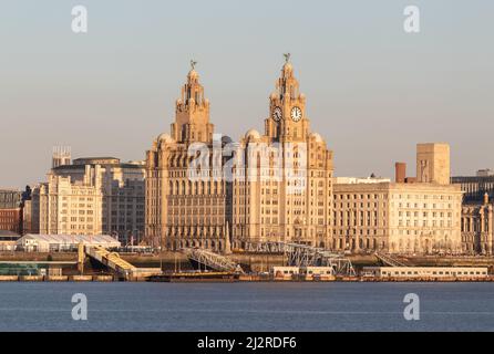 Liverpool, Regno Unito: Royal Liver Building affacciato sul fiume Mersey sul lungomare della città. Foto Stock