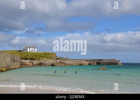 Porto di Ness, Isola di Lewis, Ebridi esterne, Scozia Foto Stock