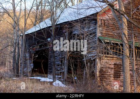 Vecchio fienile in legno che cade in giù nella foresta invernale Foto Stock