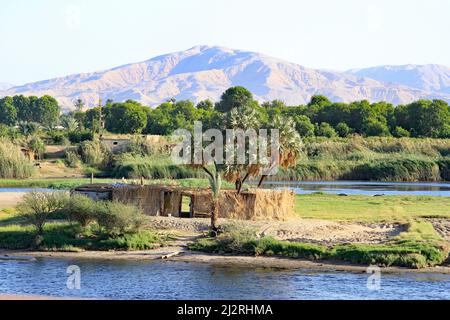 Crociera sul Nilo Foto Stock