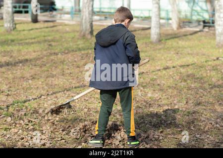 I bambini stanno raccogliendo le foglie. Pulizia delle foglie nel cortile. Un bambino passa le foglie da un rastrello. Foto Stock