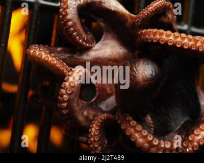 Scatto macro. Il polpo grande è grigliato. Potete vedere il fuoco attraverso la griglia. Cucina di mare, frutti di mare, ricette per la casa e la cucina del ristorante. Ristorante, Foto Stock