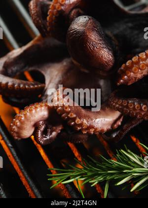 Scatto macro. Il polpo grande viene grigliato con rametti di rosmarino. Cucina asiatica del mare. Cibo per buongustai. Cucina professionale e casalinga. Ricette di pesce. Pubblicità Foto Stock