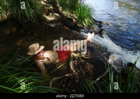 L'uomo è immerso nella piscina naturale sopra una cascata tra la foresta pluviale, la Goldsborough Valley, vicino a Cairns, Queensland, Australia. Nessun MR Foto Stock