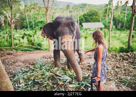 Alcune esperienze non possono essere spiegate. Scatto di un giovane turista che ammira un elefante nella giungla. Foto Stock