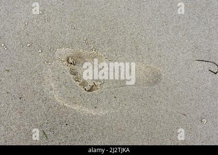 VITA DA SPIAGGIA Foto Stock