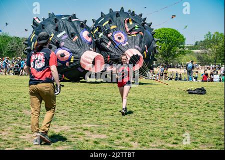 Austin, Texas, Stati Uniti. 3 aprile 2022. Mia, 16 dal ÒGo Big o Go HomeÓ Kite volare organizzazione ritorna da raddrizzare il pesce più soffiato. Il 93rd ABC Kite Festival è tornato a Zilker Park Domenica. Migliaia di visitatori hanno volato aquiloni colorati attraverso il parco di 350 acri. Credit: Sidney Bruere/Alamy Live News Foto Stock